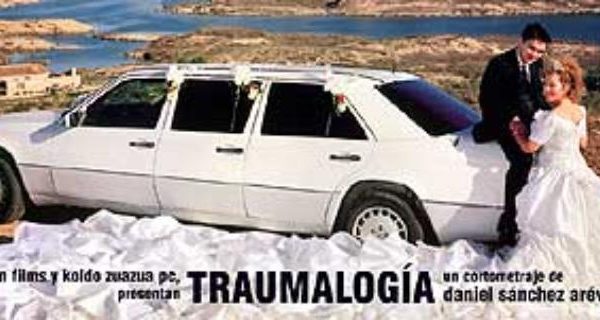Traumalogia
