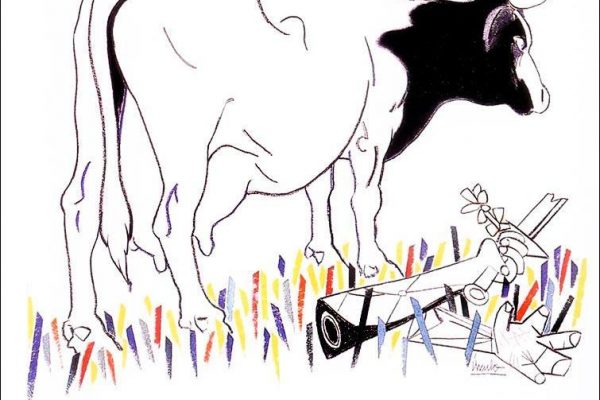 Vacas Medem