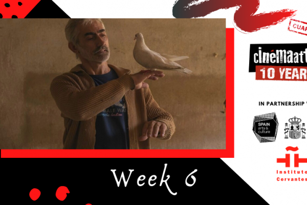 cuarentena shorts week 6